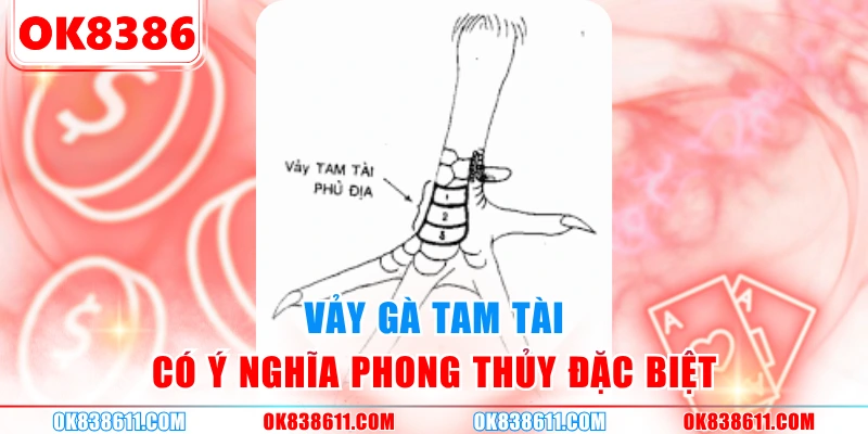 Vảy gà tam tài có ý nghĩa phong thủy đặc biệt