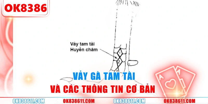 Vảy gà tam tài và các thông tin cơ bản 